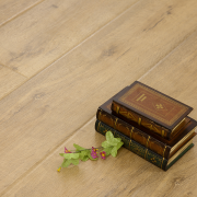 OP-YL02  芬蘭情懷強(qiáng)化地板